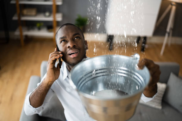 Best Local water damage restoration  in Moulton, AL