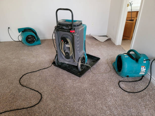 Professional Water damage restoration in AL