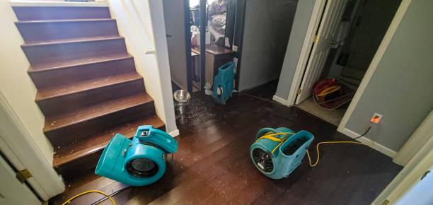 Best Water damage contractors near me  in Moulton, AL