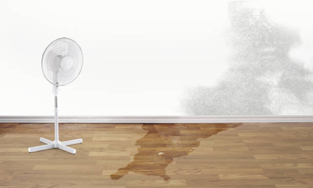  Moulton, AL Water damage restoration Pros