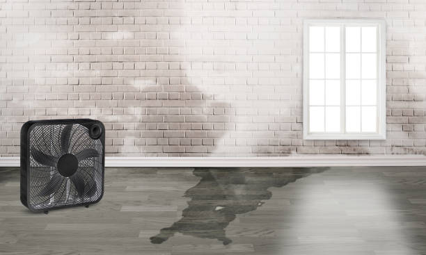 Best 24/7 water damage repair  in Moulton, AL