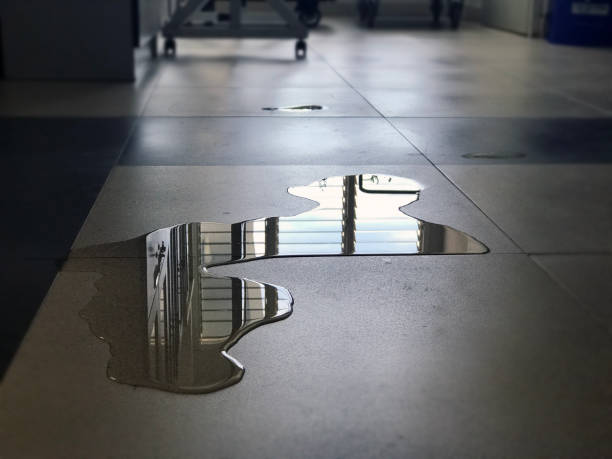 Best 24-hour water damage restoration  in Moulton, AL