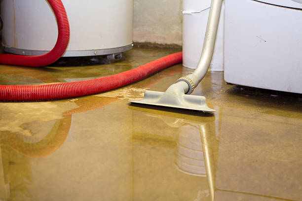 Carpet water damage restoration in AL