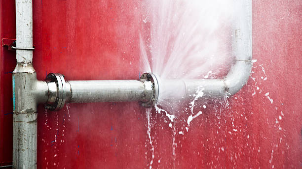 Best Basement water damage restoration  in Moulton, AL